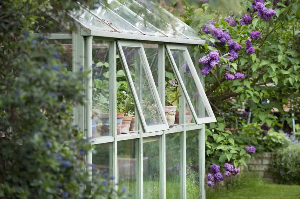 External view of a greenhouse with open windows