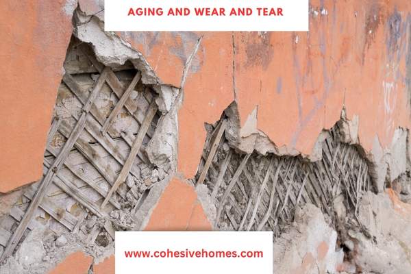 Aging and Wear and Tear