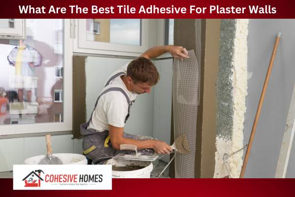 What Are The Best Tile Adhesive For Plaster Walls