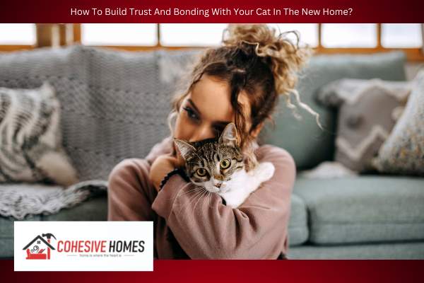 How To Build Trust And Bonding With Your Cat In The New Home